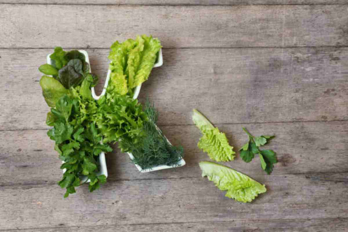 Piatto di insalata a forma di k per rappresentare la vitamina K