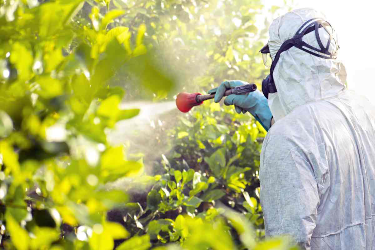 Un uomo in tuta anti contaminazione sparge pesticidi nell'aria