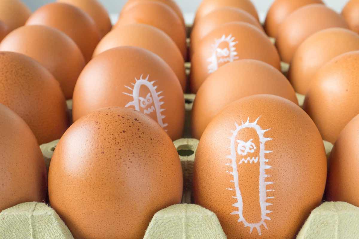 Delle uova infette con stilizzati dei batteri