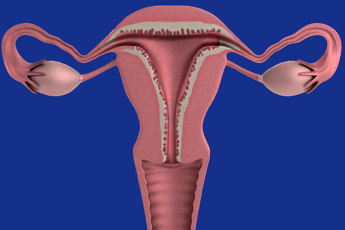 Tumori dell'utero: polipi e fibromi