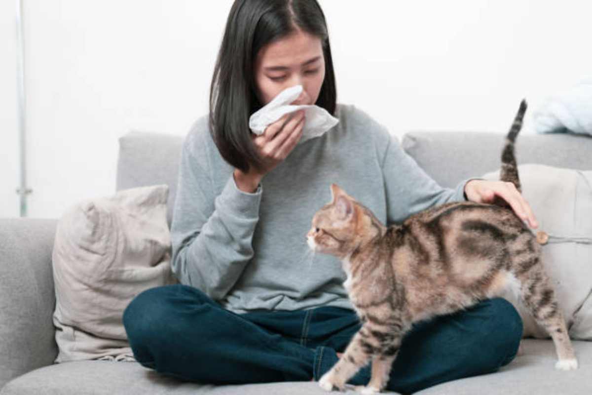 Ragazza che mostra sintomi dell'allergia ai gatti