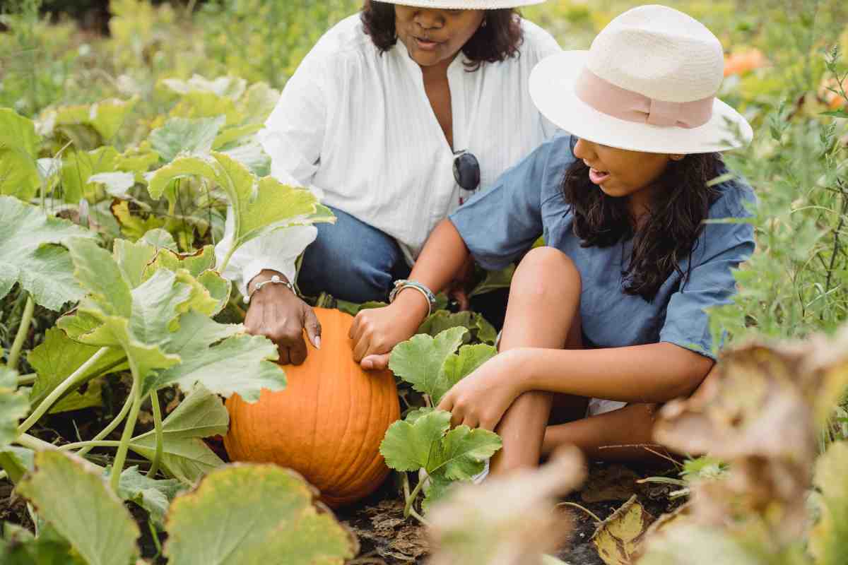 Zucca come verdura del mese di novembre