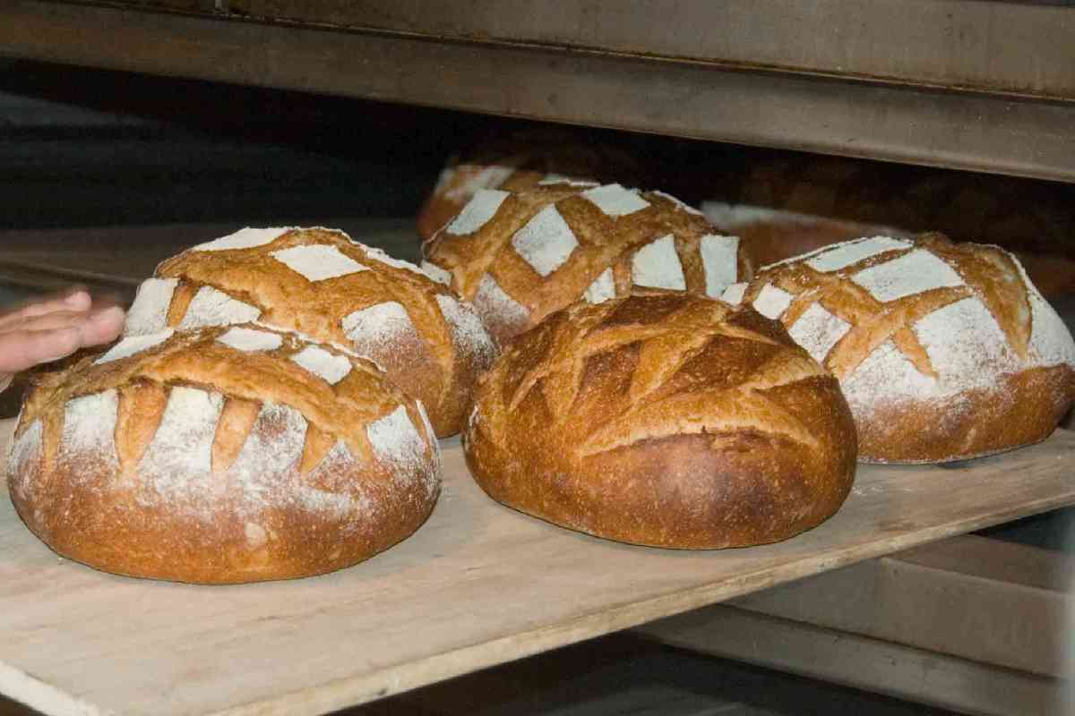 Pane