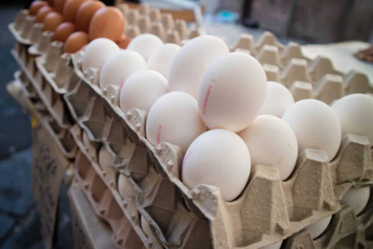 Confezioni di uova
