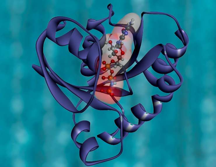 Rappresentazione schematica di una proteina